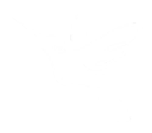 light logo